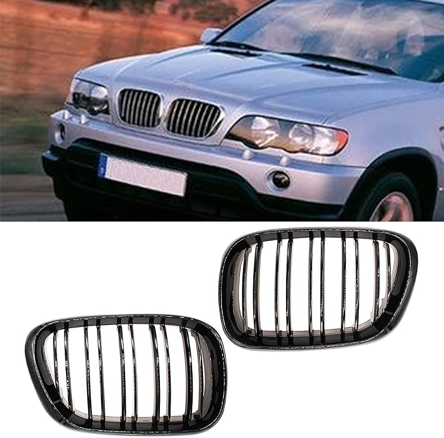 Двойни Бъбреци БМВ BMW Е53 Х5 1999 - 2003